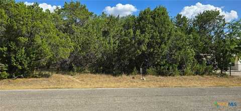 1692 Lakeview Drive, Canyon Lake, TX 78133