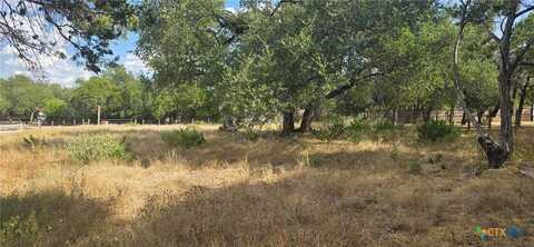 425 Lighthouse, Canyon Lake, TX 78133