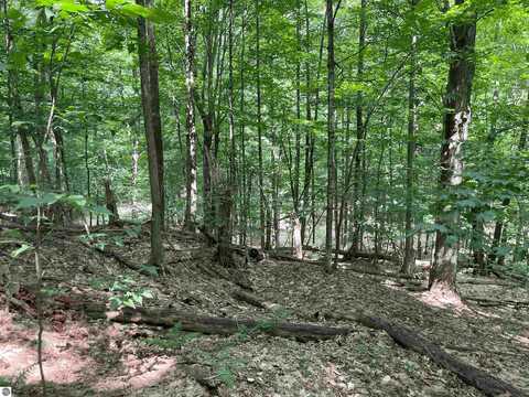 00 Honey Hollow Road, Bellaire, MI 49615