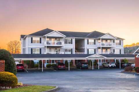 712 Sir Echo Drive, Kingsport, TN 37663