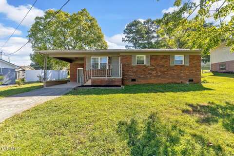 528 Parrish Lane, Jefferson City, TN 37760