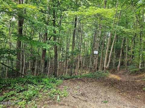 Tbd Rachels Chapel Road, Coeburn, VA 24230