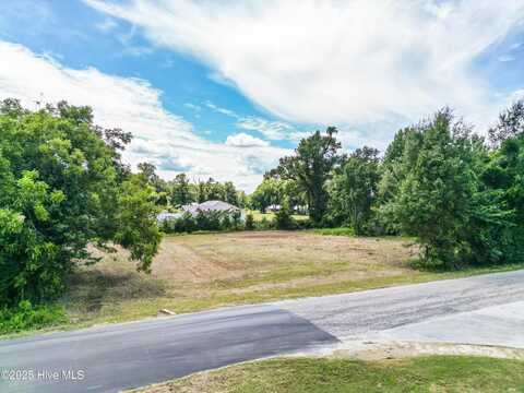 107 Top Tobacco Road, Lake Waccamaw, NC 28450