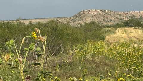 10 Acres Durrett Drive, Amarillo, TX 79124