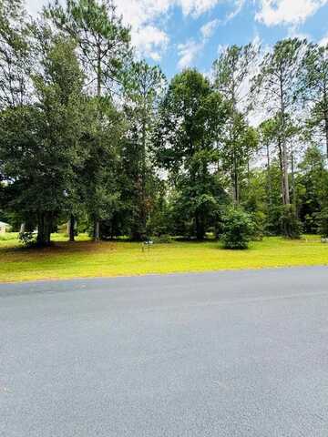Lot 557 NE Wood Stork Drive, Townsend, GA 31331