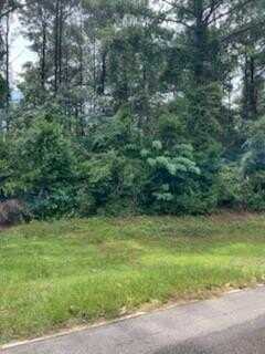 TBD N Spring Creek Circle, Cobb, GA 31735