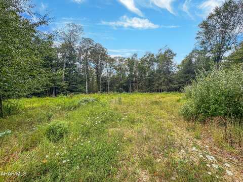 0 Harding Avenue, Revloc, PA 15948