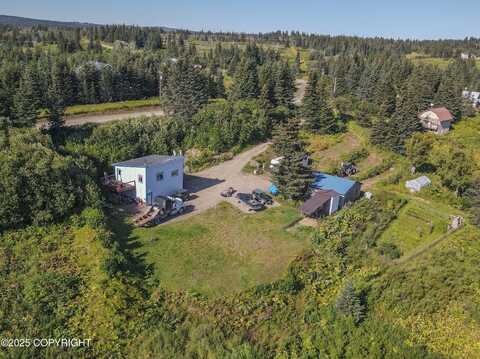 48950 Morrison Drive, Homer, AK 99603