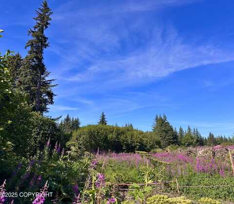 72278 Valleyside Avenue, Anchor Point, AK 99556