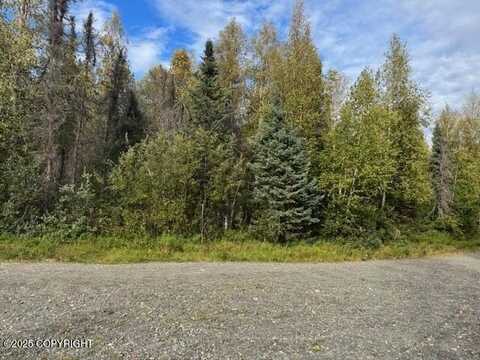 15785 E Greenleaf Drive, Talkeetna, AK 99676