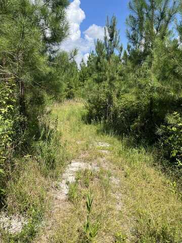 Bff 5 Brunson Teal Road, Kershaw, SC 29067