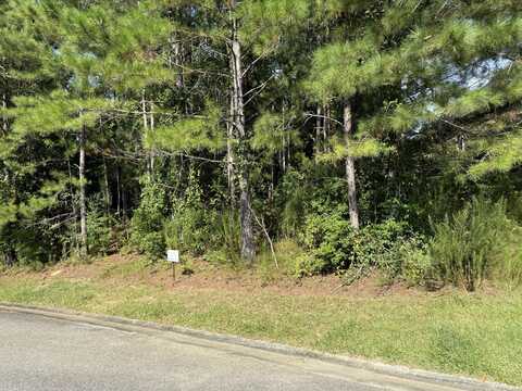 168 Grassy Creek Lane, Aiken, SC 29803