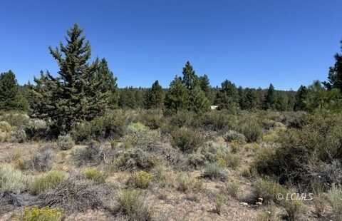Bufflehead Drive, Bonanza, OR 97623