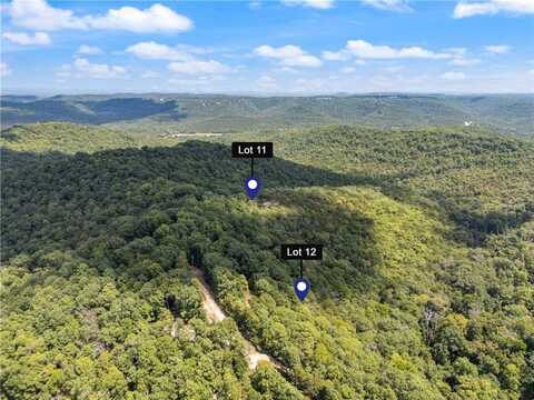 Cr-206, Eureka Springs, AR 72632