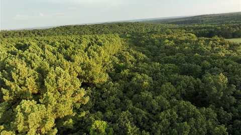 12140 County Line RD, Mulberry, AR 72947