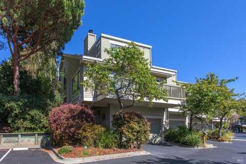 4 Eucalyptus Knoll Street, Mill Valley, CA 94941