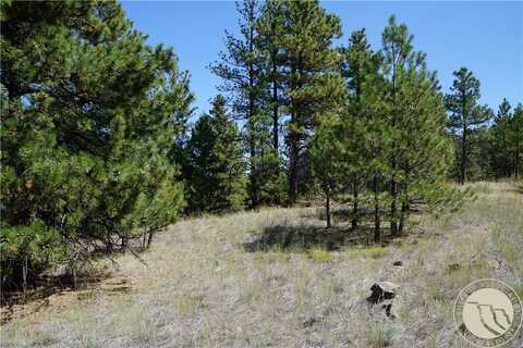 Tbd Ridge Crest Lane, Ferdig, MT 59421