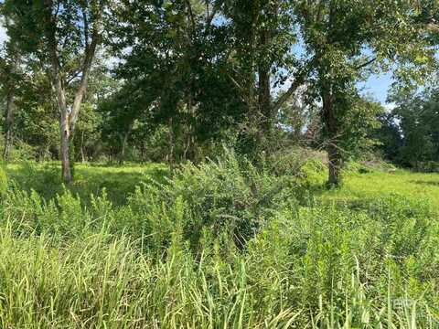 16827 Engel Lane, Foley, AL 36545