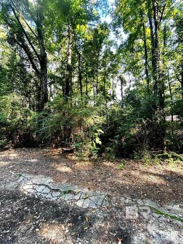 20708 Allen Street, Mount Vernon, AL 36560
