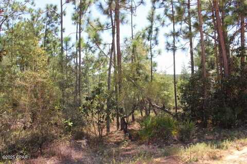 Sycamore Street, Alford, FL 32420