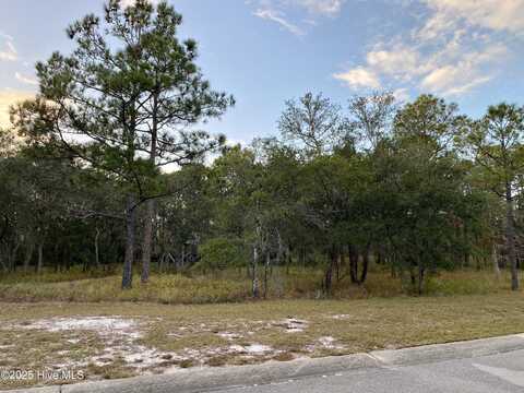 654 Loreauville, Supply, NC 28462