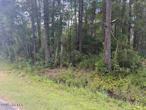 0 Near 2625 Chauncey Town Road, Lake Waccamaw, NC 28450