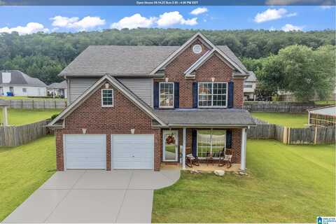 493 FOREST LAKES DRIVE, STERRETT, AL 35147