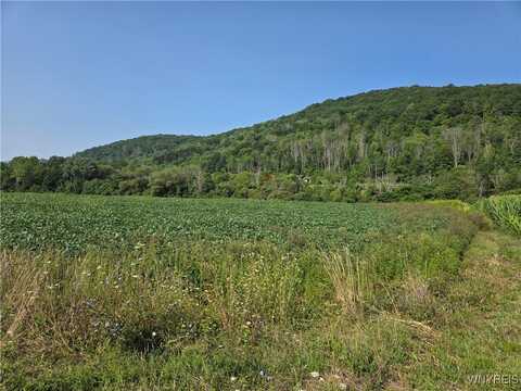 Martin Road, Great Valley, NY 14741