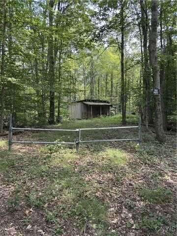 Hall Road, Russia, NY 13324