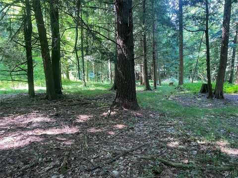 State Route 244, Ward, NY 14813