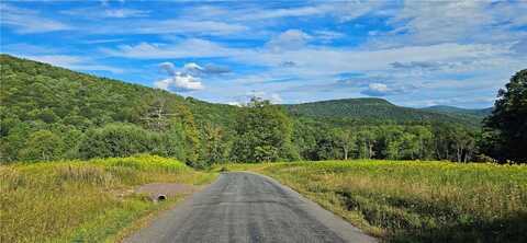 00 Shaver Hollow Road, Andes, NY 13731