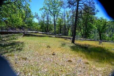 230 Shasta Springs Rd, Weaverville, CA 96093