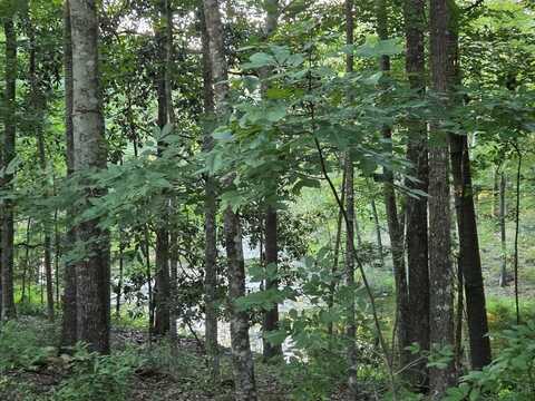 000 Lakeshore Way, Cordele, GA 31015