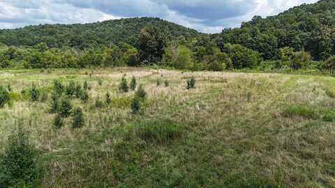 County Road 60, Riceville, TN 37370