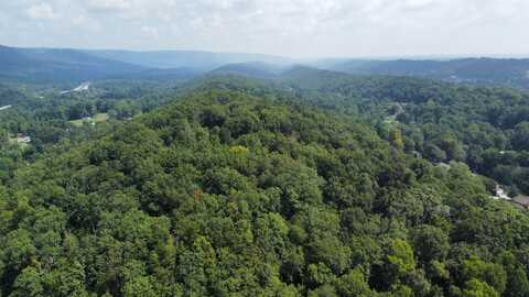 0 Browntown Road, Chattanooga, TN 37415