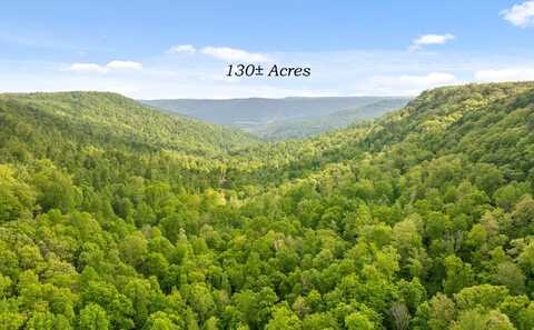 7335 S Pittsburg Mountain Road, South Pittsburg, TN 37380