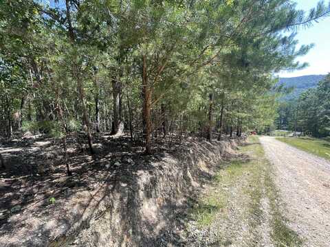 0 Sloppy Floyd Lake Road, Summerville, GA 30747