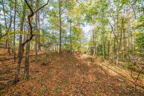 56 SCOTT ROAD, ELLERSLIE, GA 31807