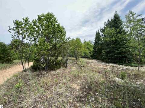 5 ACRES LITTLE LANE, KALKASKA, MI 49646