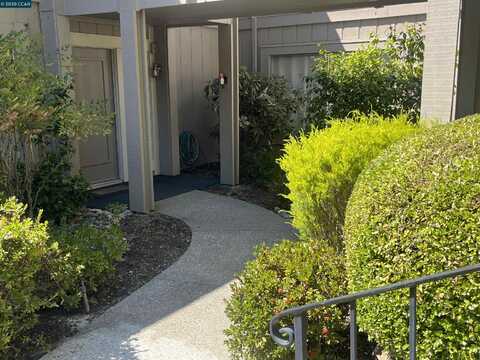 703 Terra California, Walnut Creek, CA 94595