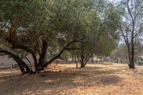 736 Live Oak, Angels Camp, CA 95222