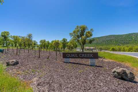 224 Quail Creek Terrace, Copperopolis, CA 95228