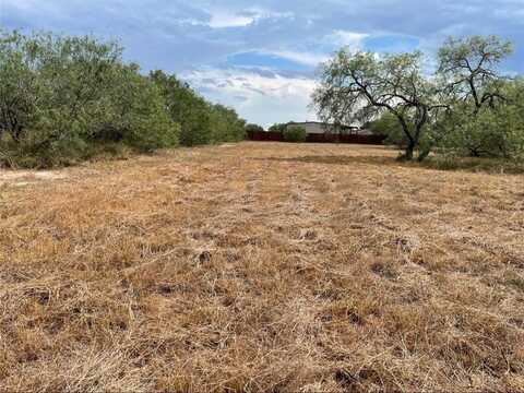 FM 3376, Alice, TX 78332