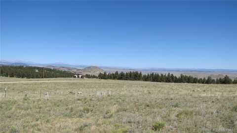 1198 Wagon Wheel Road, Hartsel, CO 80449