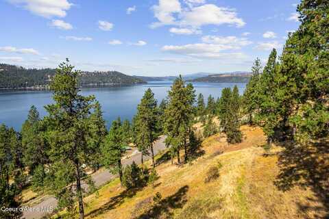 Nna S DUSK CT (LOT 12), Harrison, ID 83833