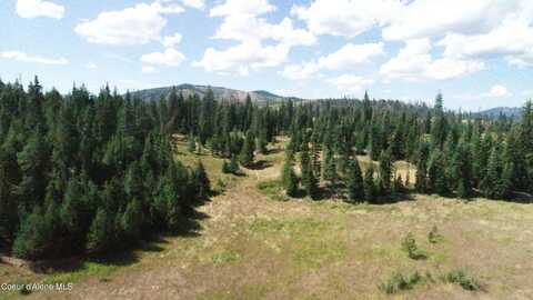 Nna lot 2 Carpenter Creek Rd, Fernwood, ID 83830