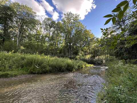 12 Acres M 30, Gladwin, MI 48624