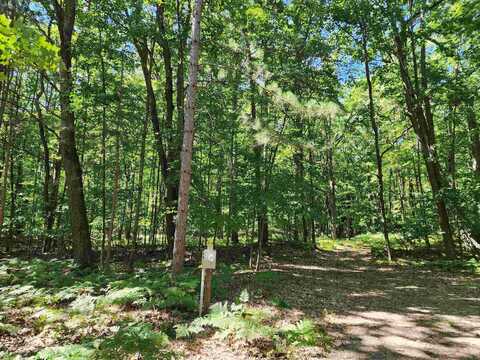 Lot 234 Oak, Farwell, MI 48622