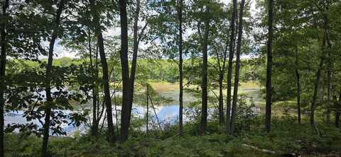 Lot 300 Jaunita Indian, Harrison, MI 48625