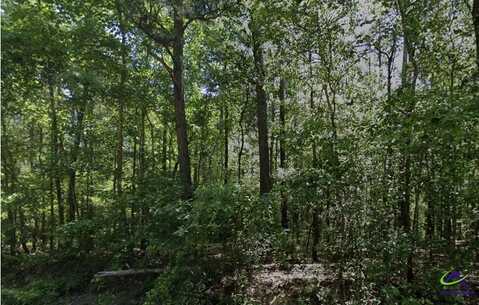 0 Howard Road, Roberta, GA 31078